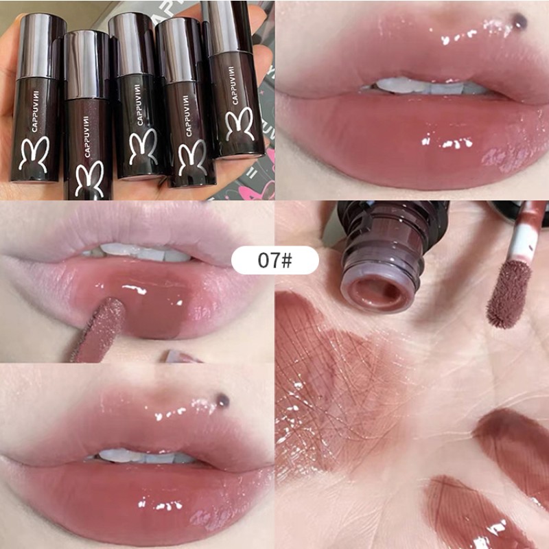 Plumping Lip Oil Factory - Cappuvini Hot Selling Moisturizing Velvet 2023 New OEM