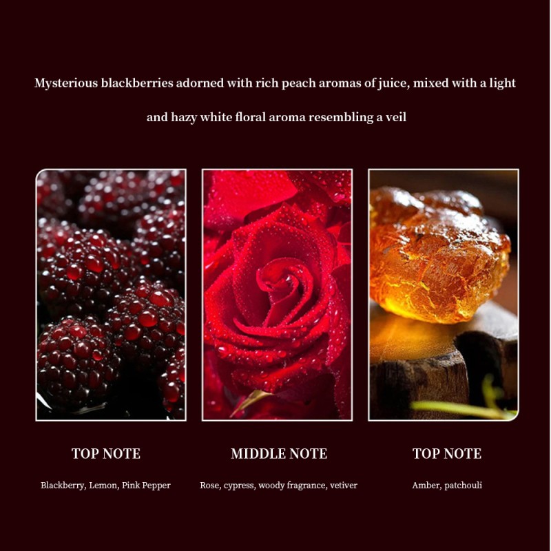 Wild Charm Perfume Manufacturer - OEM 100ML JEAN MISS Wholesale Exuding Wild Charm Fresh