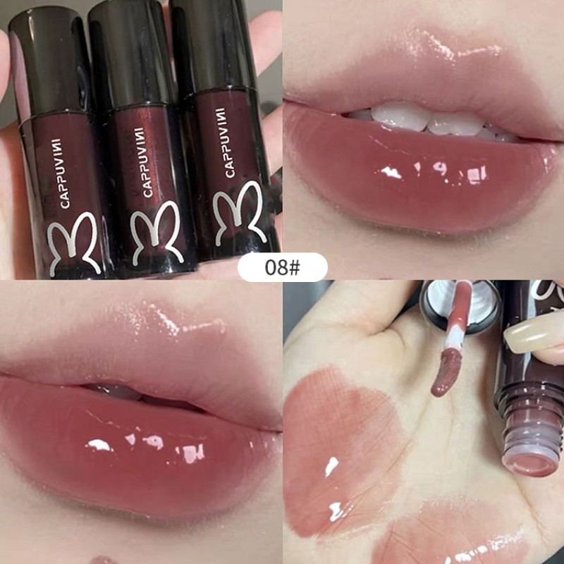 Plumping Lip Oil Factory - Cappuvini Hot Selling Moisturizing Velvet 2023 New OEM