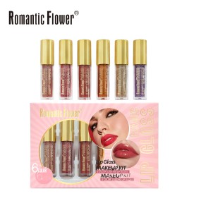 Lipgloss Kit Supplier - Wholesale 6 Color Face Makeup Shiny Moisturizer Waterproof Glitter for Dark Skin