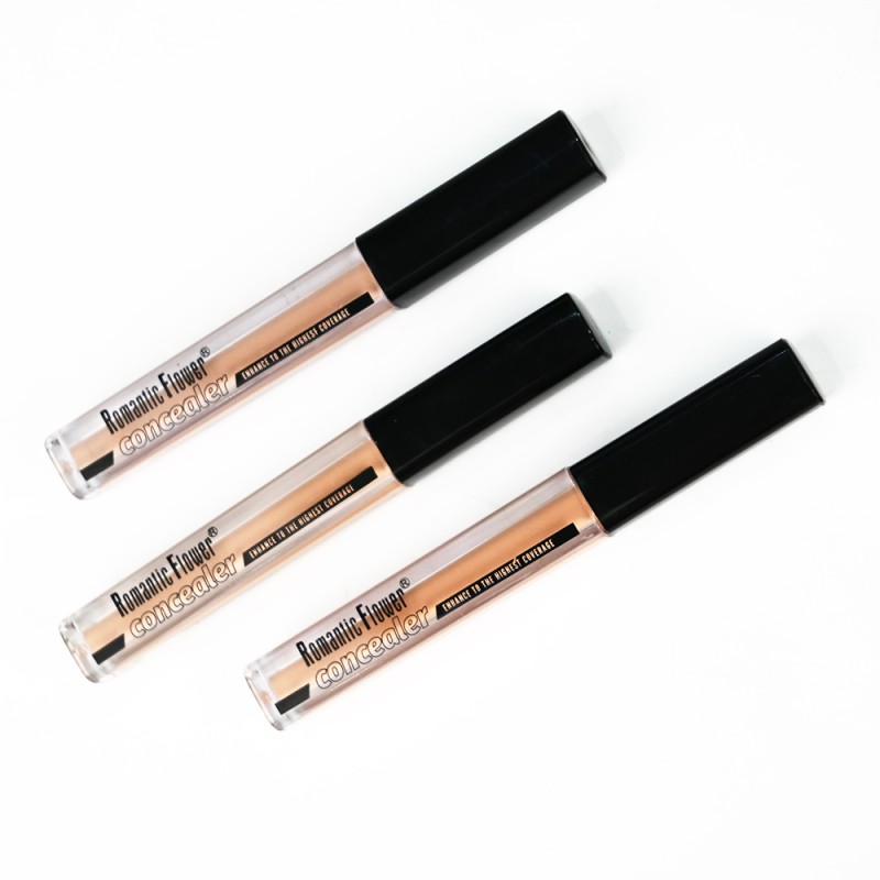 Liquid Concealer Manufacturer - Make Your Own 6 Colors Full Coverage Waterproof Foundation