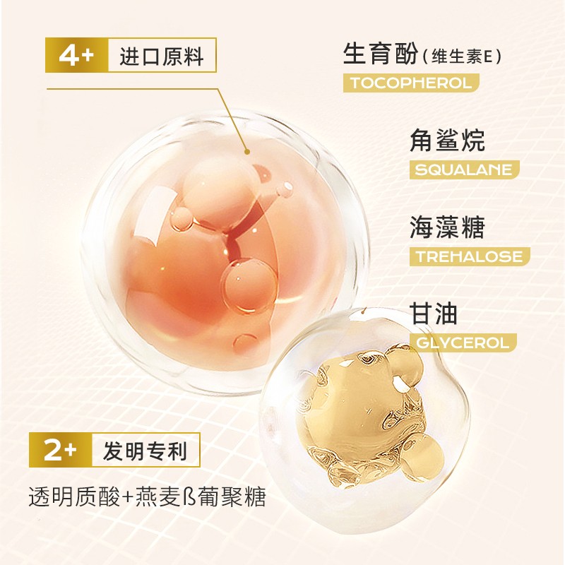 Liquid Foundation Factory - High Quality Concealer Hyaluronic Acid Plant Extract Lock Makeup