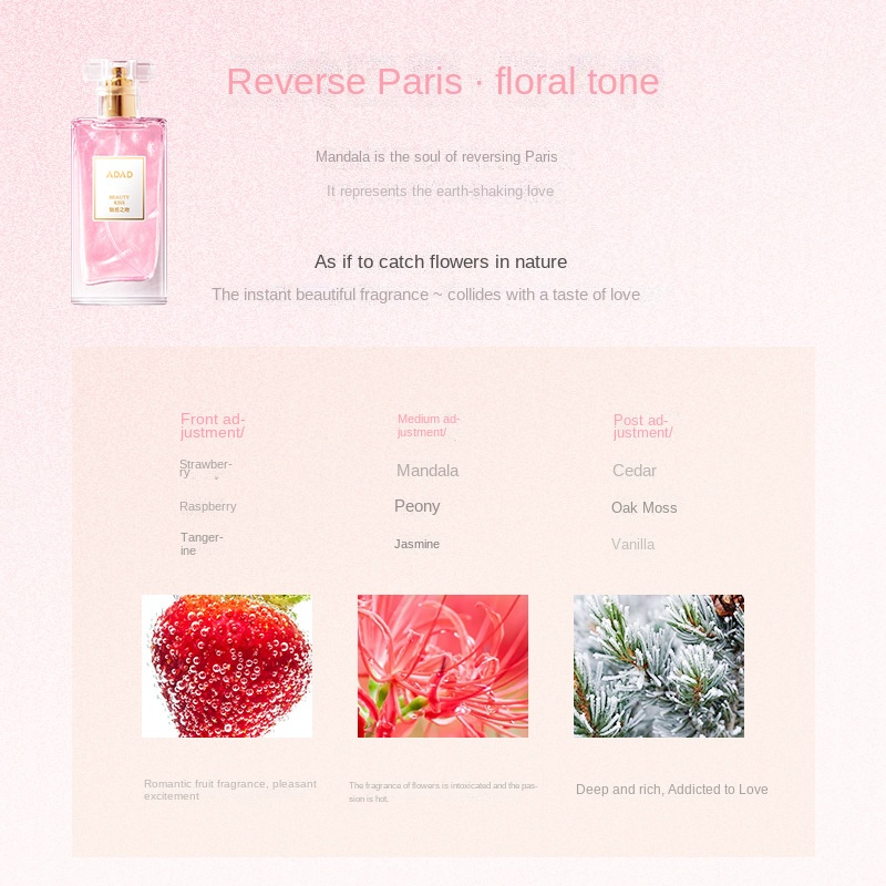 Women Perfume Manufacturer - Hot Selling Original Brand Long-Lasting Sweet Fragrance Fruit Perfume