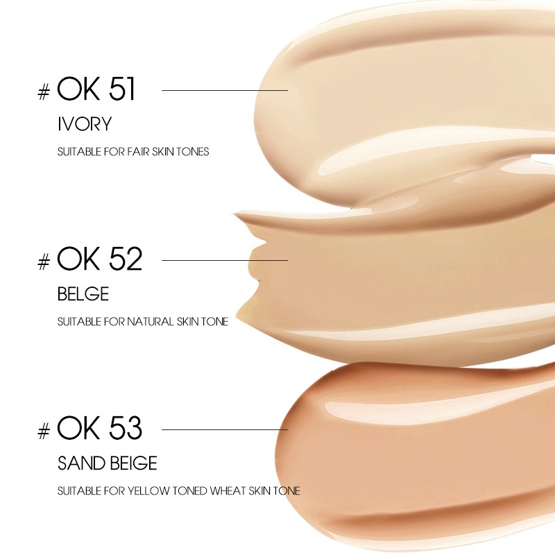 Liquid Concealer Supplier - OEM Liquid Foundation Concealer Moisturizing Oil Control Waterproof