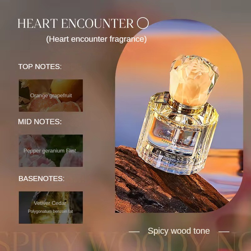 Perfume Supplier - Factory Private Brand Hot Sell 50ml Long Lasting Fragrance Wood Perfumes