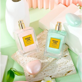 Women's Perfume Manufacturer - Wholesale Private Label Long Lasting Fragrance 100ml High-capacity Two Types