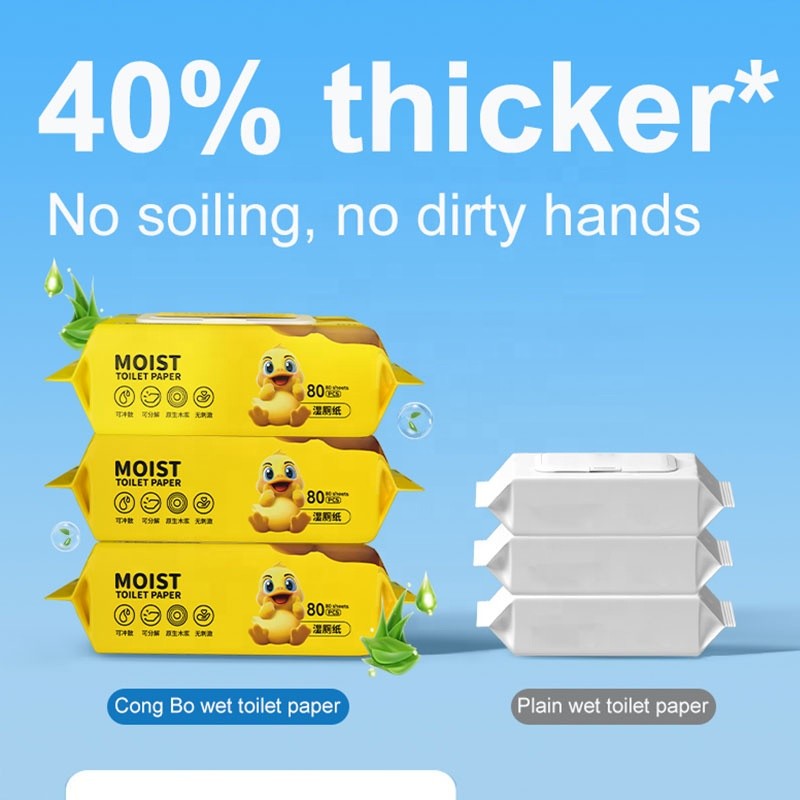 Flushable Wipes Manufacturer - OEM Toilet Paper 80pcs Butt