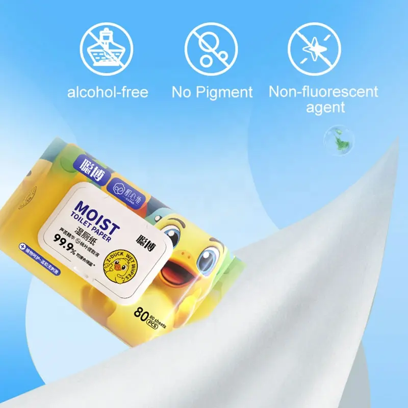 Wet Wipes Factory - OEM Eco-Friendly Disposable Wet Wipes for Babies Non-Woven Fabric
