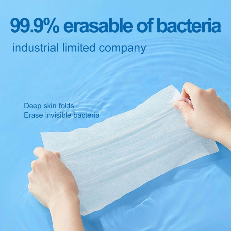 Flushable Wipes Manufacturer - OEM Toilet Paper 80pcs Butt