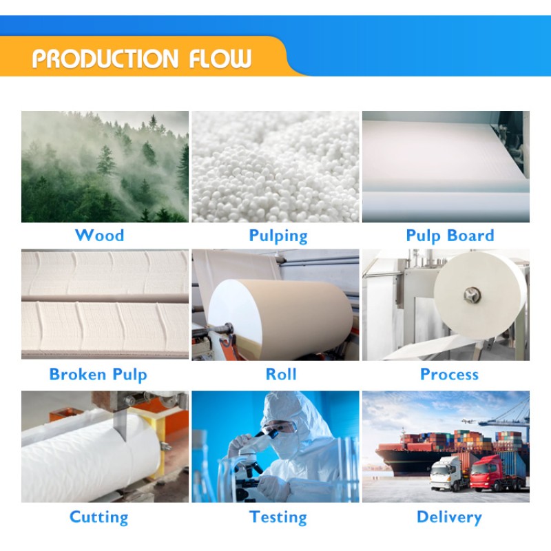 Toilet Paper Manufacturer - Soft 3-4 Ply Eco-Friendly