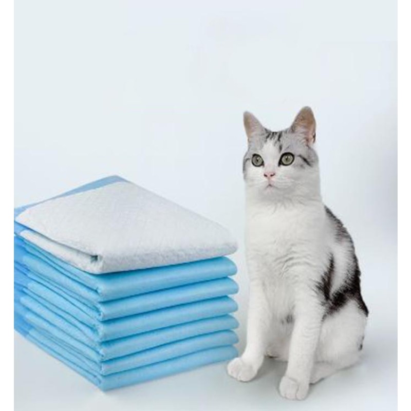 Pet Training Pads Supplier - Hot Selling Super Absorbent Disposable