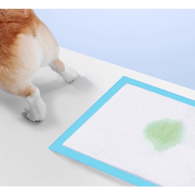 Pet Pads Manufacturer - Disposable Thickened Deodorizing Breathable