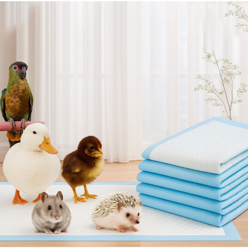 Pet Training Pads Supplier - Hot Selling Super Absorbent Disposable