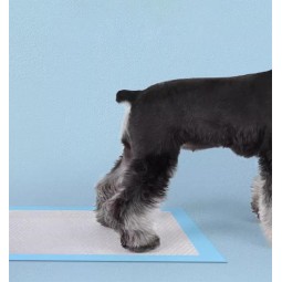 Dog Diaper Pads Manufacturer - OEM Thickened Disposable Urine Pads