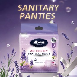 Menstrual Pants Supplier - Detachable Disposable Overnight Use