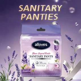 Menstrual Pants Supplier - Detachable Disposable Overnight Use