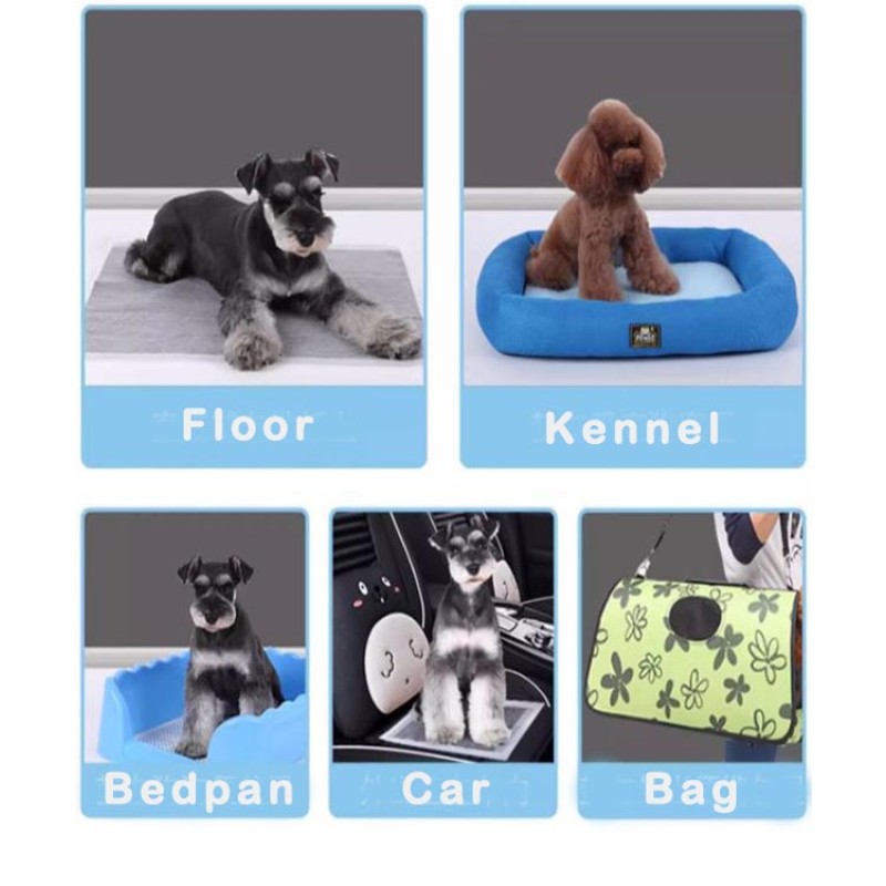 Pet Training Pads Factory - Fast Absorbent Many Sizes Disposable