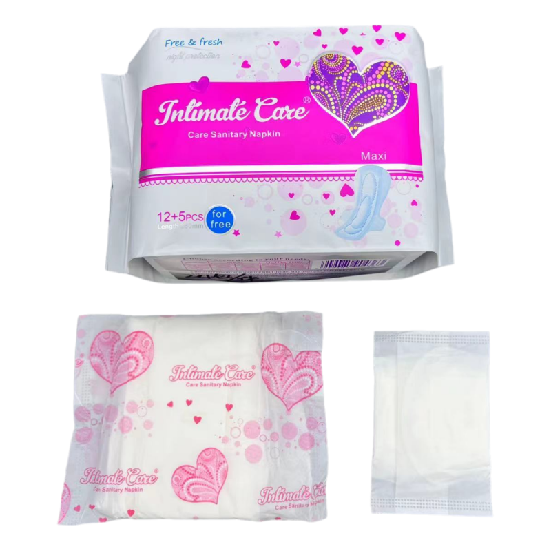 Menstrual Pads Factory - 12 Tablets Grade A ISO