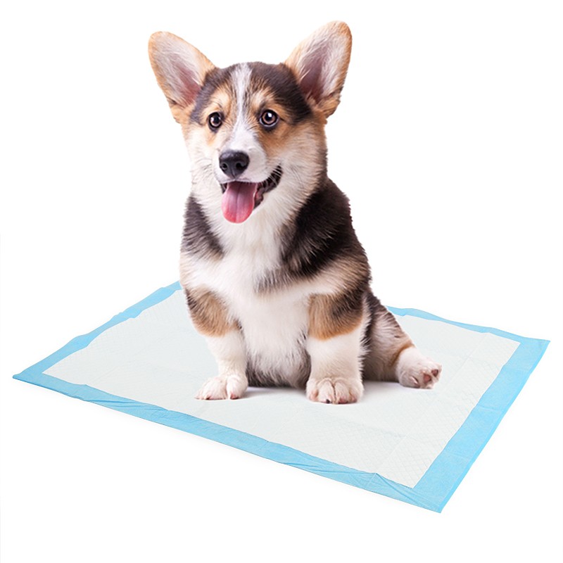 Pet Toilet Mat Factory - Top Seller High Quality Nylon Pet Toilet Mat Waterproof Puppy Pee Pads Training Collars