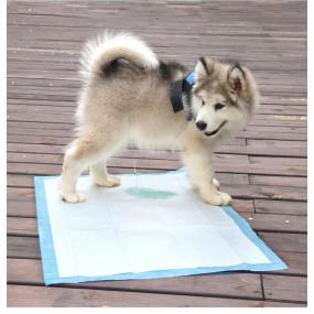 Pet Training Mat Supplier - OEM Disposable Dog Toilet Mat Accessories