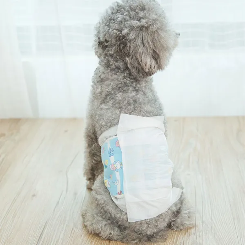 Pet Dog Diapers Supplier - Modern Design Low Price Training Supplies