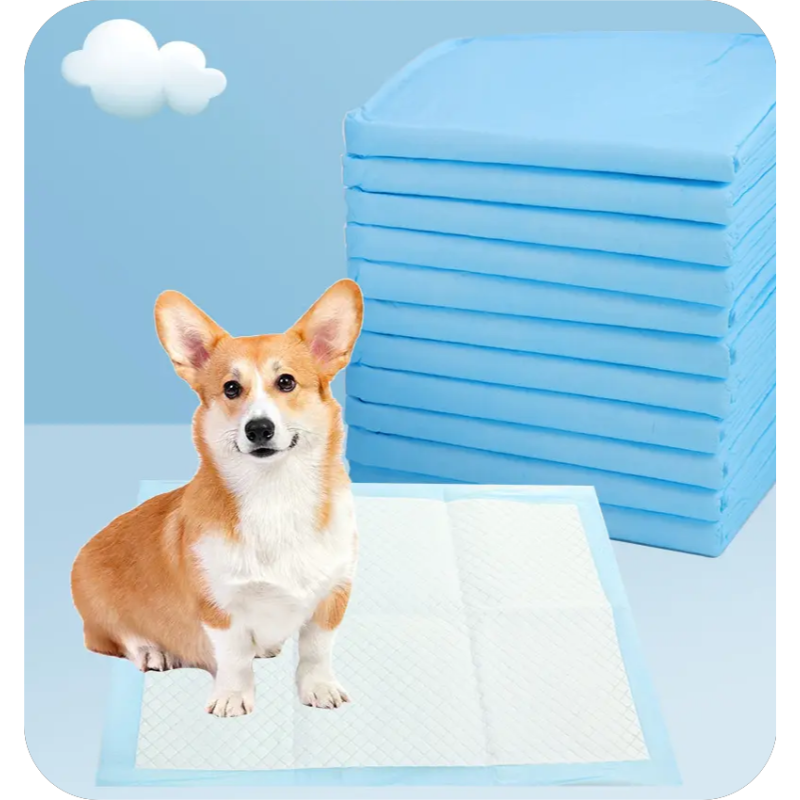 Pet Changing Pad Manufacturer - High Quality Disposable Thick Pet Changing Pad Customized for Puppies Factory Direct