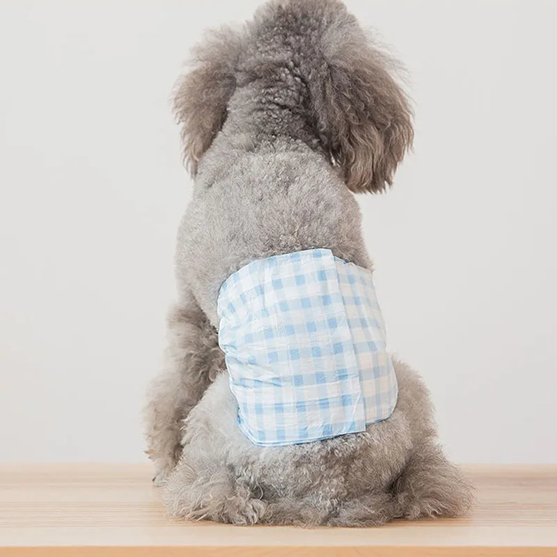 Female Dog Diaper Factory - Customized Logo Premium Disposable Pants