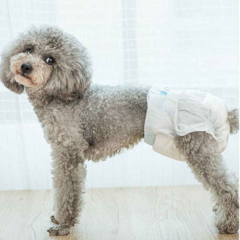 Pet Diaper Manufacturer - Wholesale Disposable Custom Branding Dog Diapers
