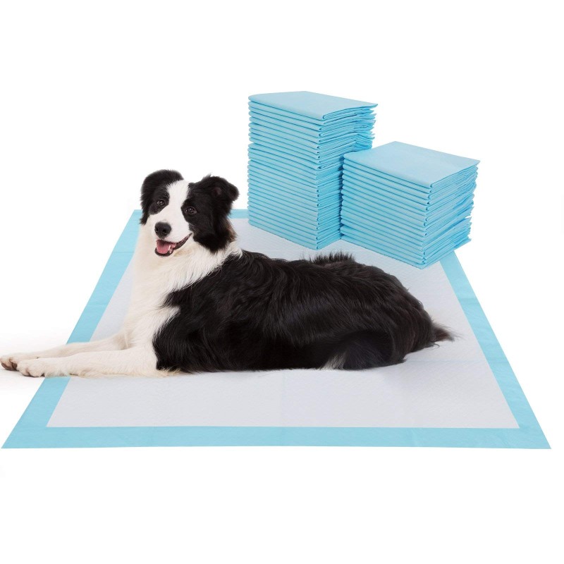 Pet Toilet Mat Factory - Top Seller High Quality Nylon Pet Toilet Mat Waterproof Puppy Pee Pads Training Collars