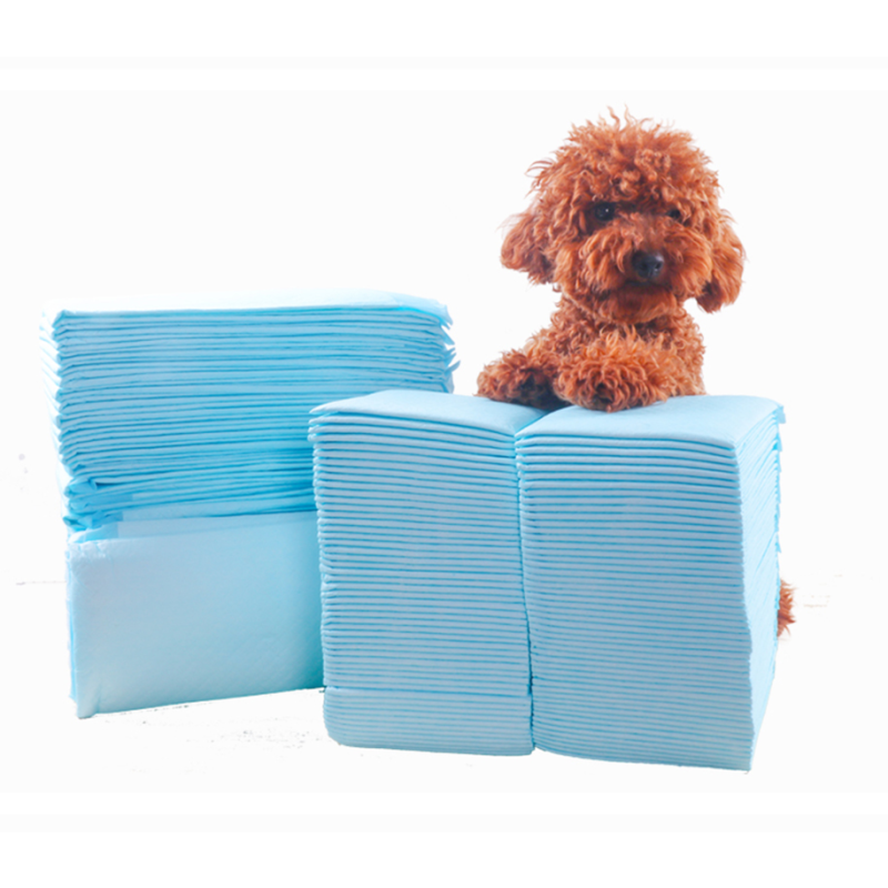 Dog Training Pads Factory - Hot Sale Urine Absorbent Pet Under Pads