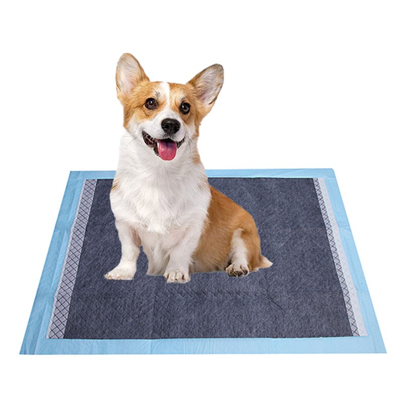 Pet Toilet Mat Factory - Top Seller High Quality Nylon Pet Toilet Mat Waterproof Puppy Pee Pads Training Collars