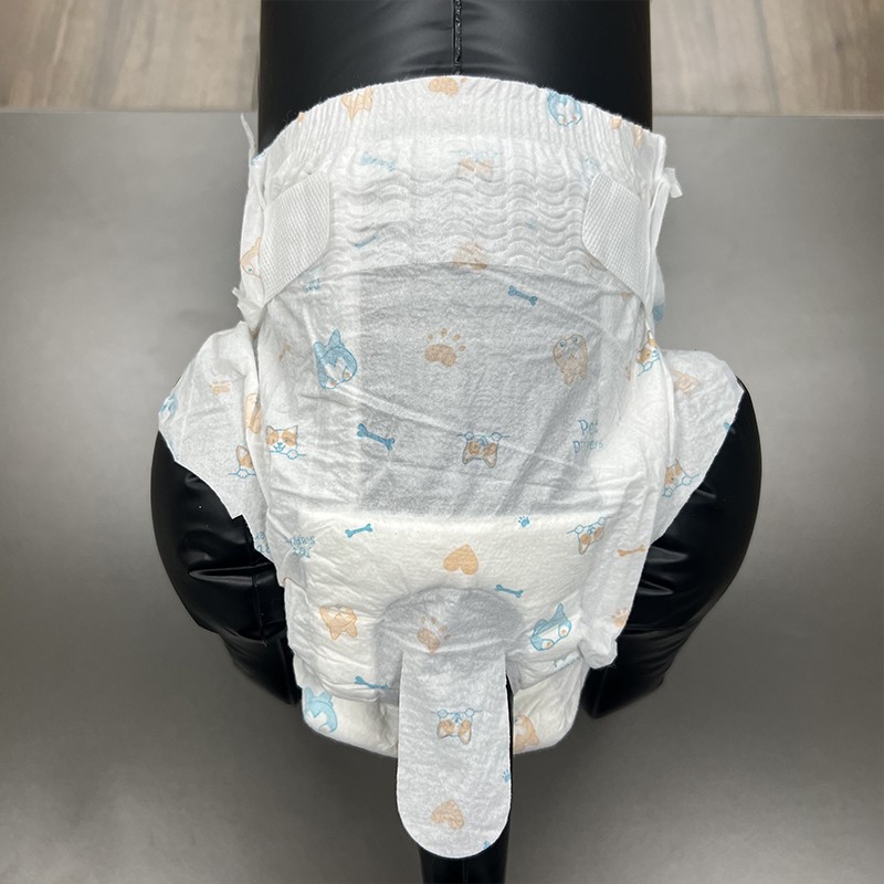 Pet Diapers Manufacturer - OEM ODM Disposable Private Label