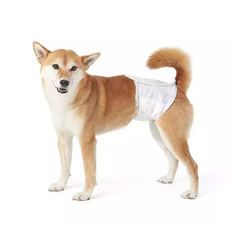 Pet Diapers Manufacturer - Wholesale Disposable Cotton Soft