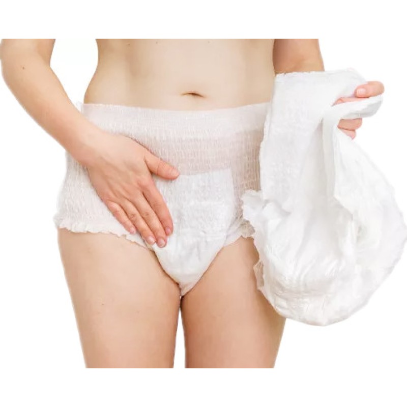 Period Panties Factory - Heavy Flow Disposable Best Sanitary