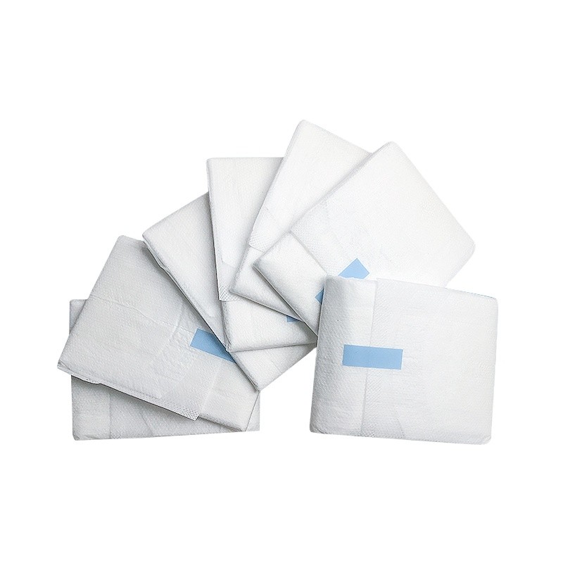 Sanitary Napkin Manufacturer - Hot Sale Natural Lady High