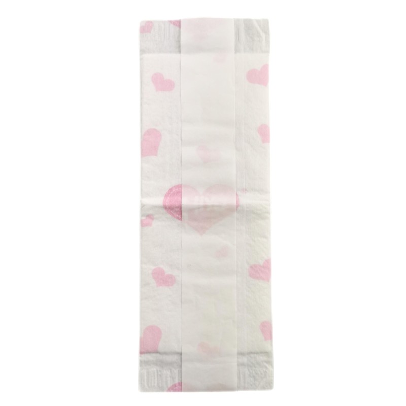 Sanitary Pads Manufacturer - Women's Free Sample Maternity