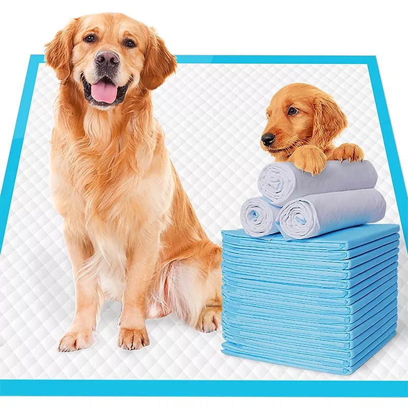 Pet Pee Pads Manufacturer - Free Sample Black 5 Layer