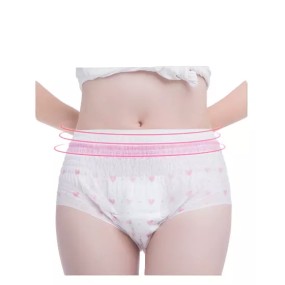 Period Panties Factory - Heavy Flow Disposable Best Sanitary