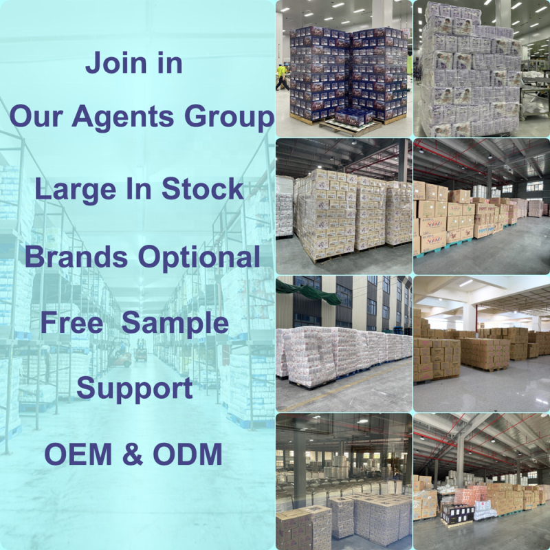 Pet Training Pads Manufacturer - 100 Units Disposable Super Absorbent Training Pee Pads