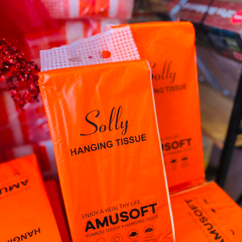 Facial Tissue Factory - Wholesale Wall Hanging Facial Tissues Custom High Absorbent Soft Tissue Paper