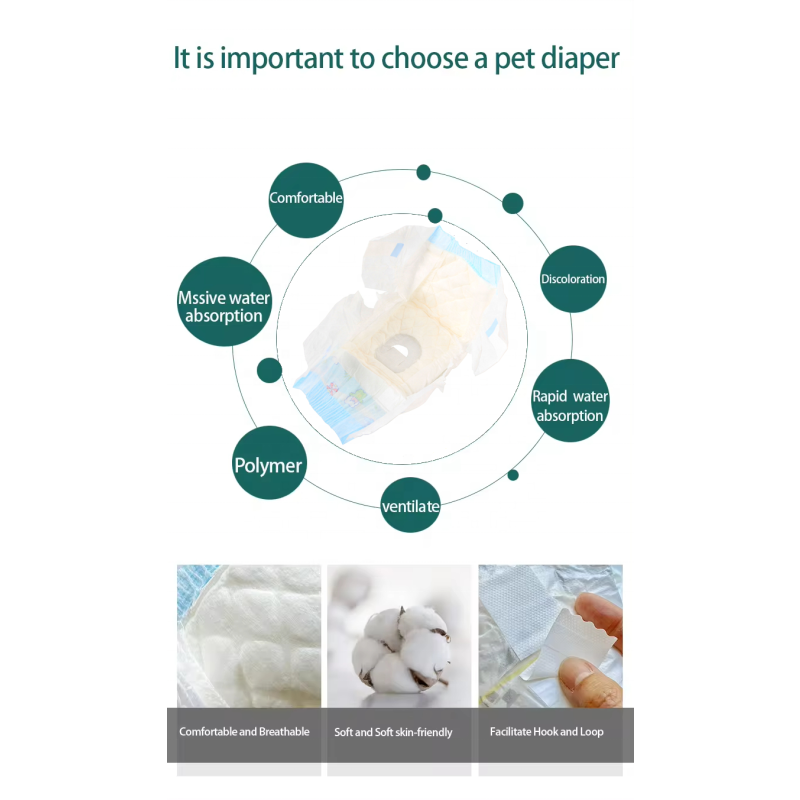 Pet Diapers Manufacturer - Manufacturer Wholesale Disposable Soft Cheap Price for Puppy