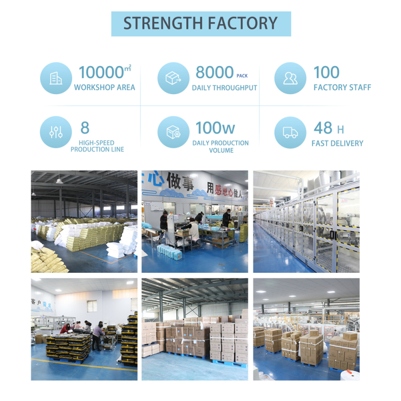 Pet Diapers Factory - High Quality Waterproof Disposable Pet Diapers Printed Design for Male and Female Dogs