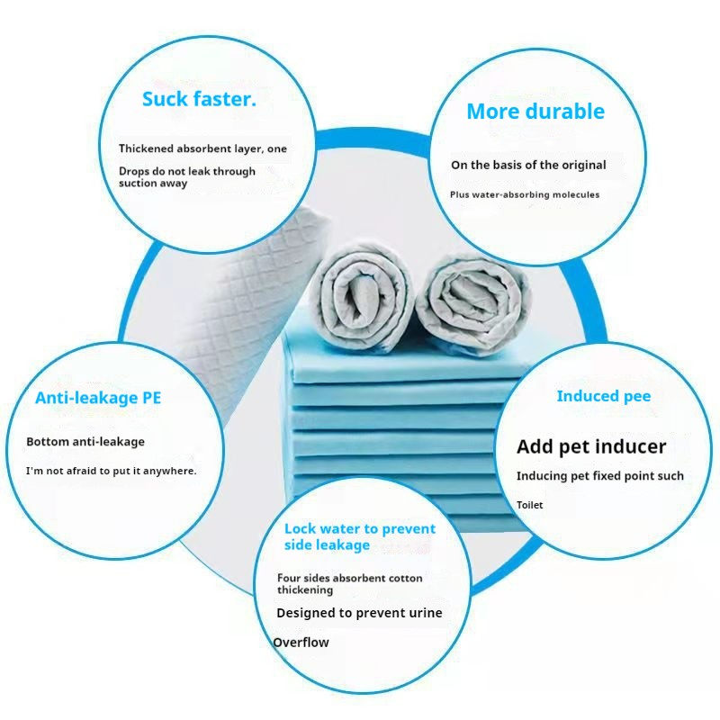 Pet Training Pads Manufacturer - Wholesale 6-Layer Super Absorbent Biodegradable OEM