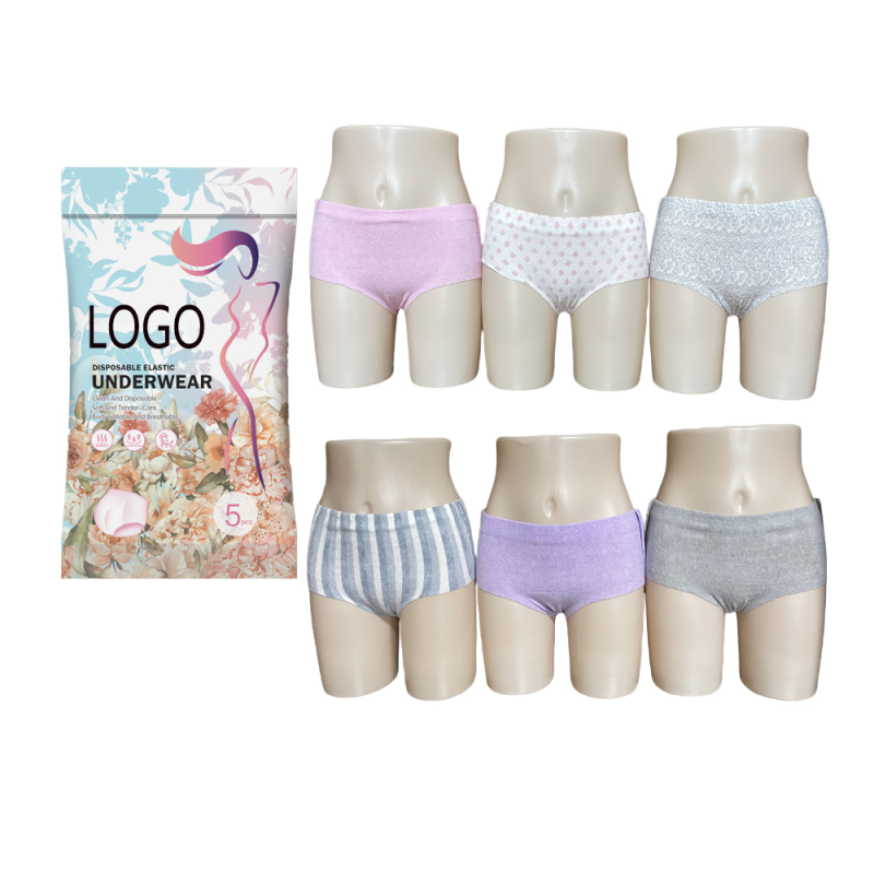 Disposable Underwear Manufacturer - Women's Comfortable Leak-Proof Non-Woven Single-Use