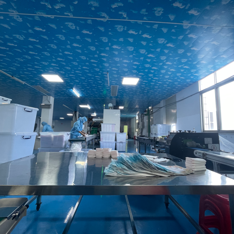 Disposable Underwear Manufacturer - In Stock White Non-Woven Ladies Briefs Travel Emergency