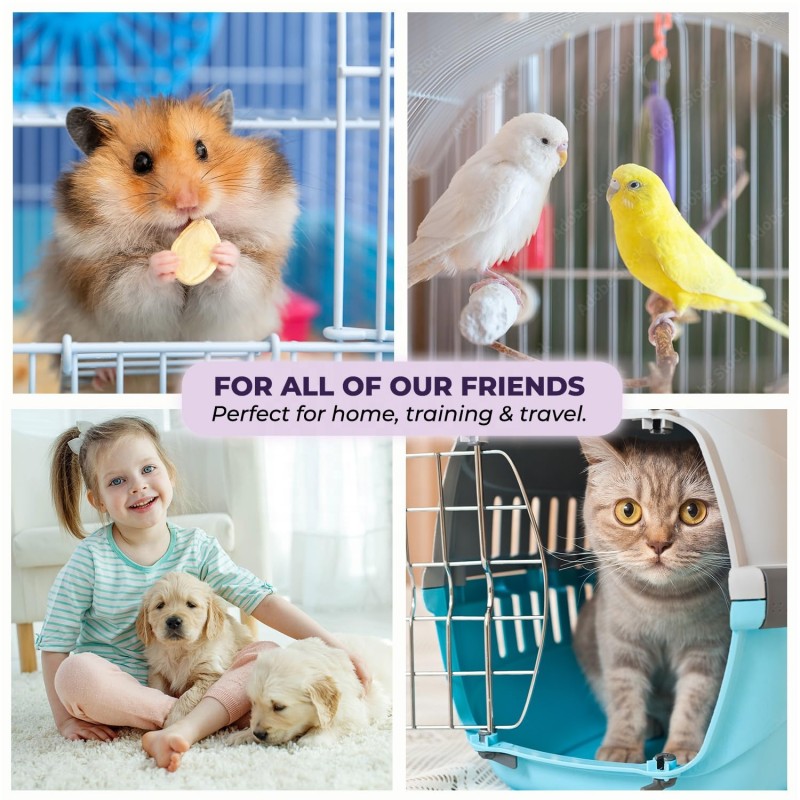 Pet Training Pads Manufacturer - Extra Thick Blue Pet Cat Mat for Potty Training 60x90 Heavy Duty Puppy Pads