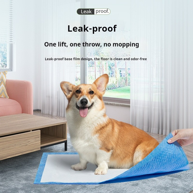 Pet Training Pads Manufacturer - 5-Layer XL Puppy Disposable Super Absorbent Waterproof Potty Urine Pet Training