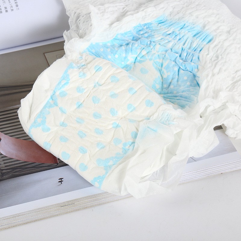 Period Underwear Manufacturer - Lady Disposable Sanitary Pants Women Menstrual Pad Panties