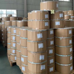 PE Film Manufacturer - Customizable Printed Backsheet