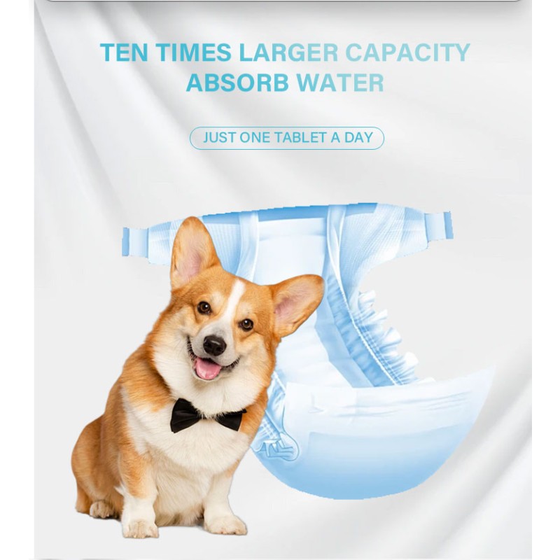 Pet Diaper Manufacturer - High Absorbent Super Soft OEM